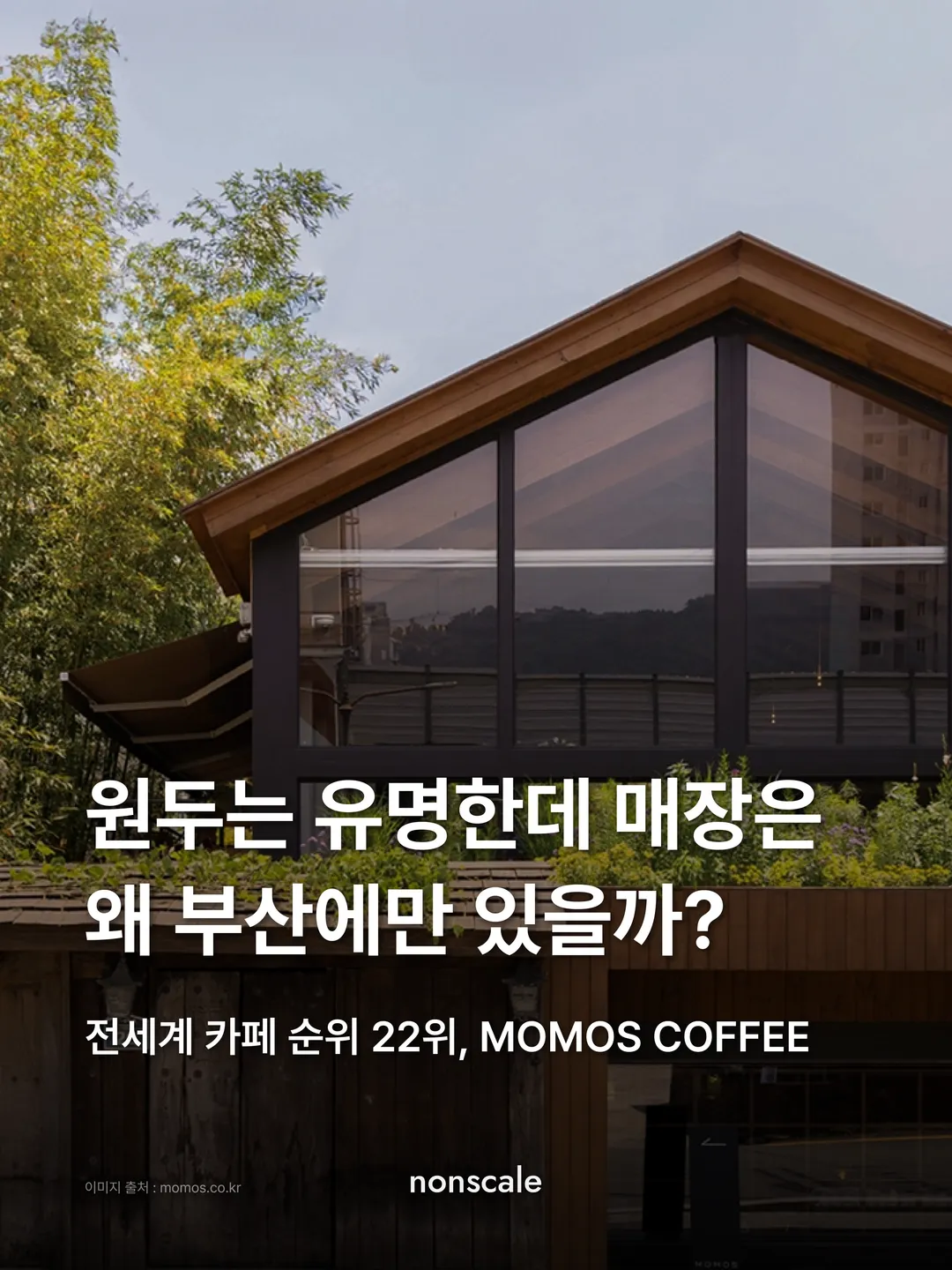 대나무와 나무에 둘러싸인 박공지붕 통유리 건물 사진 위에 "원두는 유명한데 매장은 왜 부산에만 있을까? 전 세계 카페 순위 22위, MOMOS COFFEE". 논스케일 인사이트 모모스커피 편 표지
