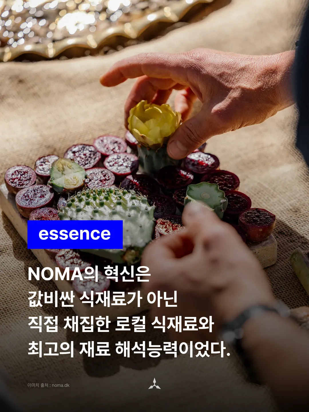 essence: NOMA의 혁신은 값비싼 식재료가 아닌 직접 채집한 로컬 식재료와 최고의 재료 해석능력이었다.
